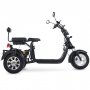 Trehjulig fatscooter 2000W | LG litiumbatteri | Mopedklass 1