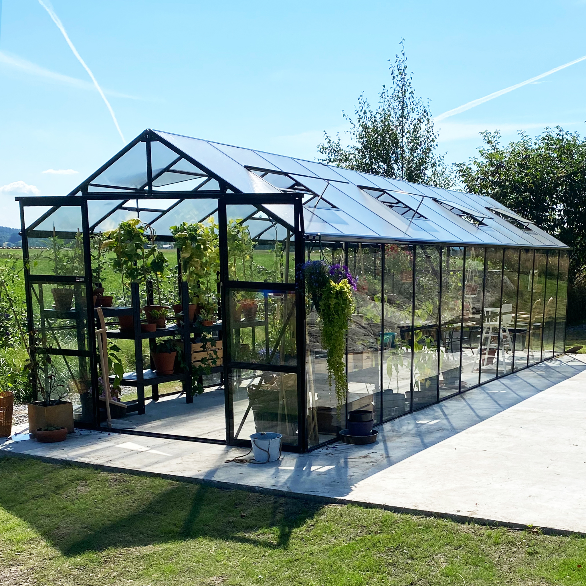 Glasväxthus 19m² | 5 års stormgaranti | 4mm säkerhetsglas | Svart