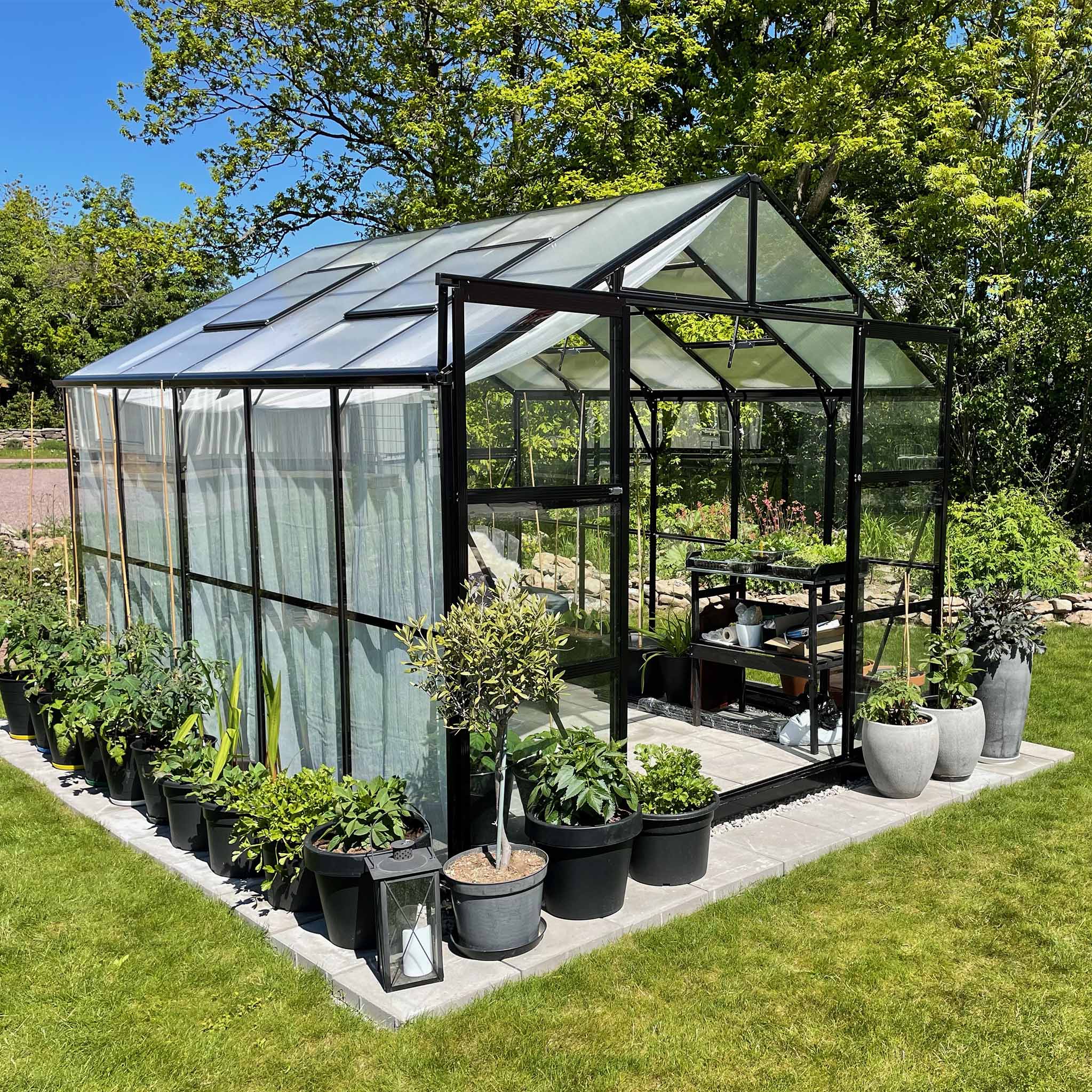 Glasväxthus 8,0m² | 5 års stormgaranti | 4mm säkerhetsglas | Svart