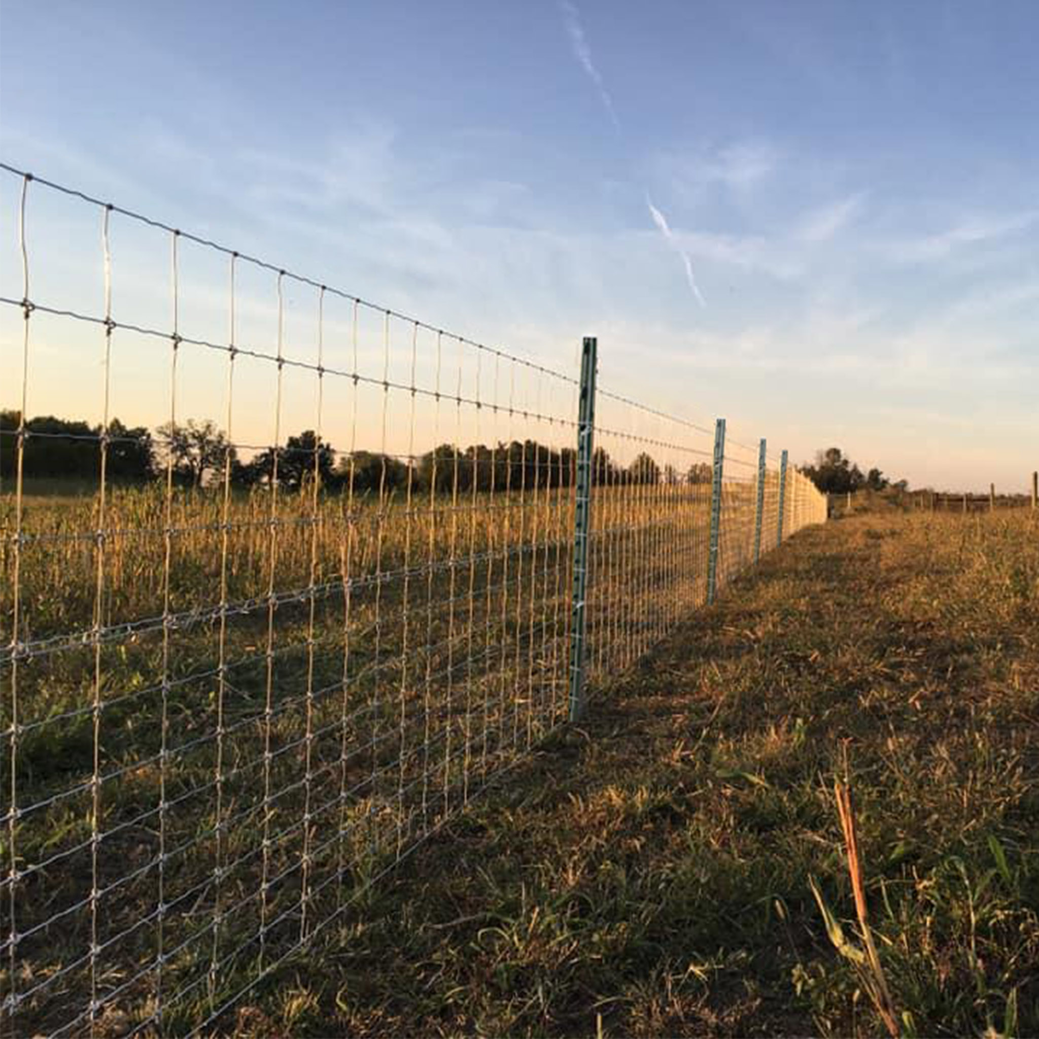 Viltstängsel 100cm högt | 100 meter paket