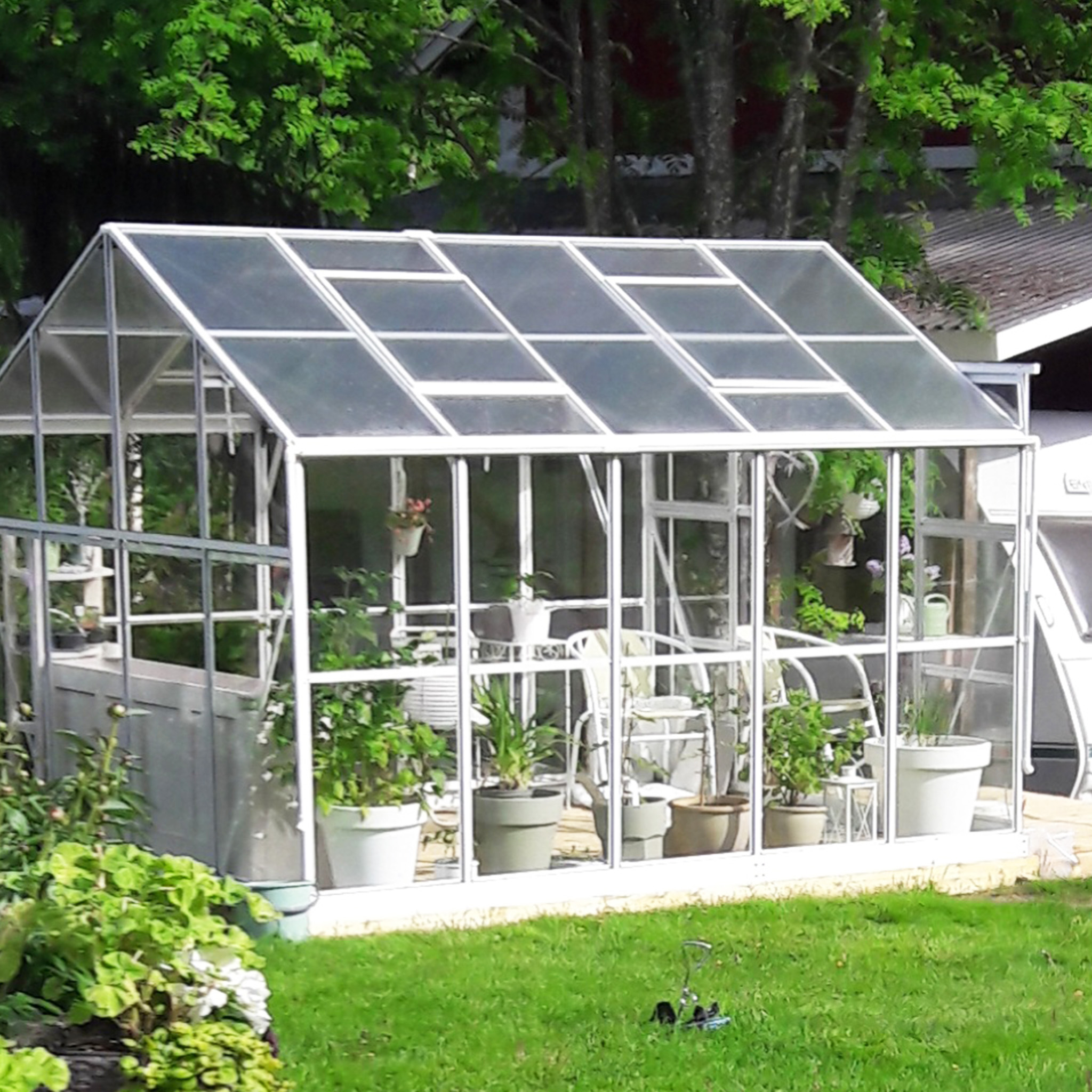 Glasväxthus 8,0m² | 5 års stormgaranti | 4mm säkerhetsglas | Vit